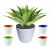 Mini Desk Plant Pots